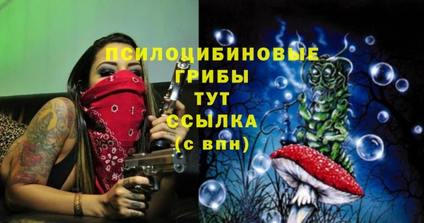 а пвп мука Бугульма