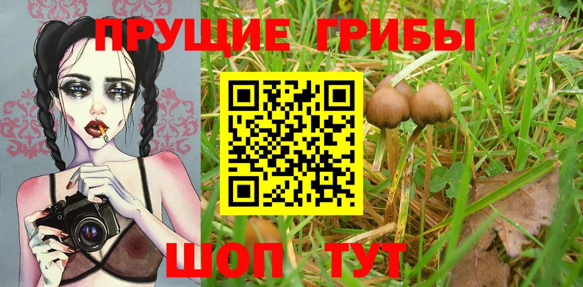 Галлюциногенные грибы мухоморы Тайшет