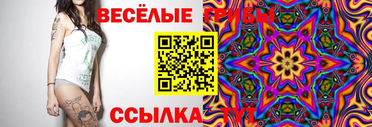 Галлюциногенные грибы GOLDEN TEACHER  цены наркотик  Тайшет 