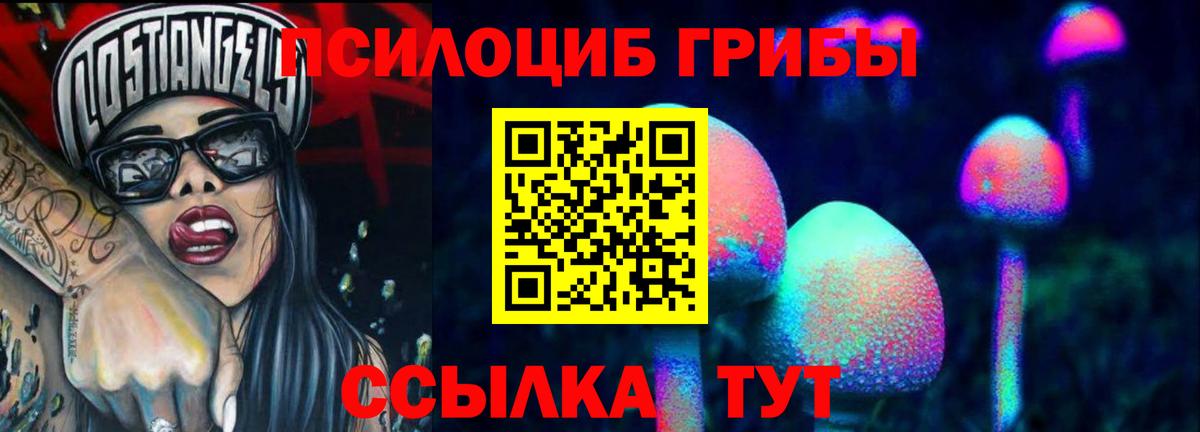 Тайшет  Псилоцибиновые грибы ЛСД  Вход с VPN  Галлюциногенные грибы мицелий 