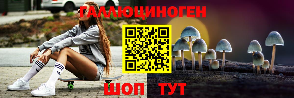 Галлюциногенные грибы Cubensis Тайшет