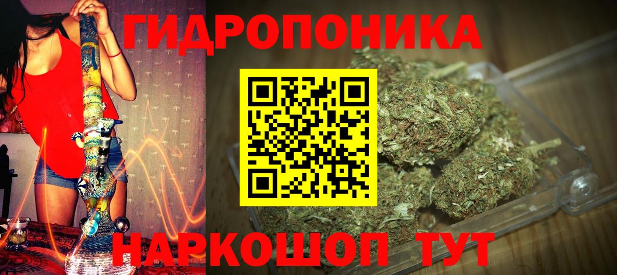 Каннабис конопля Тайшет