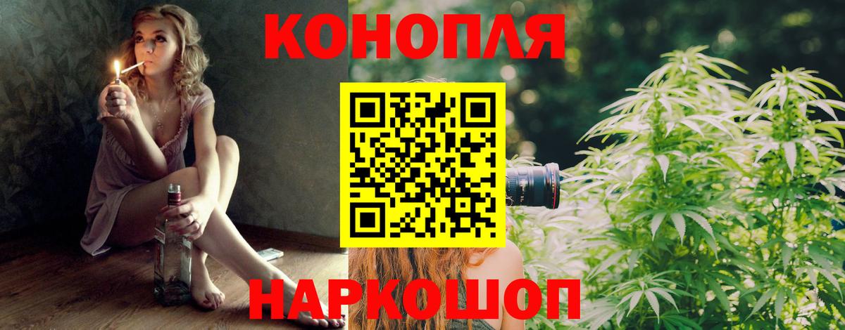 Бошки Шишки OG Kush  Канабис планчик  Конопля AK-47  Тайшет  Вход с VPN 